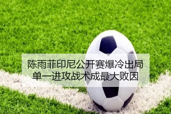 陈雨菲印尼公开赛爆冷出局 单一进攻战术成最大败因