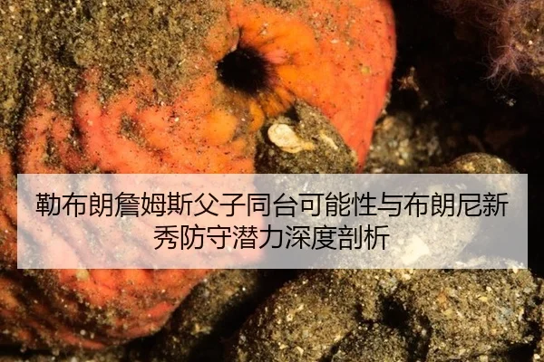 lei-bu-lang-zhan-mu-si-fu-zi-tong-tai-ke-neng-xing-yu-bu-lang-ni-xin-xiu-fang-shou-qian-li-shen-du-pou-xi-2-943.jpg