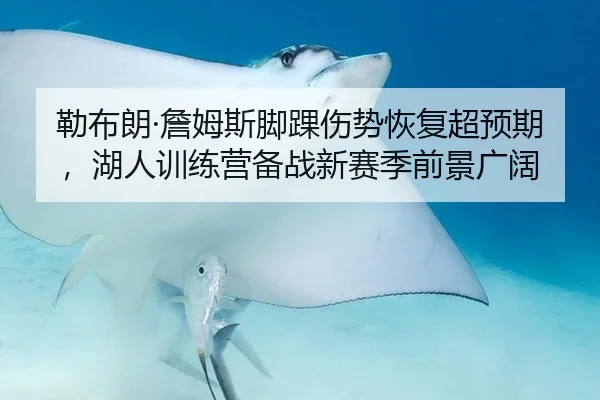 勒布朗·詹姆斯脚踝伤势恢复超预期，湖人训练营备战新赛季前景广阔