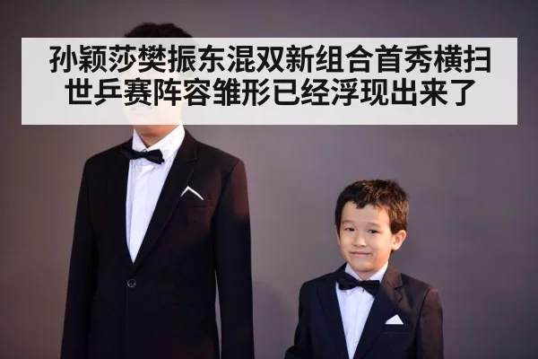 Sun Yingsha Fan Zhendong
