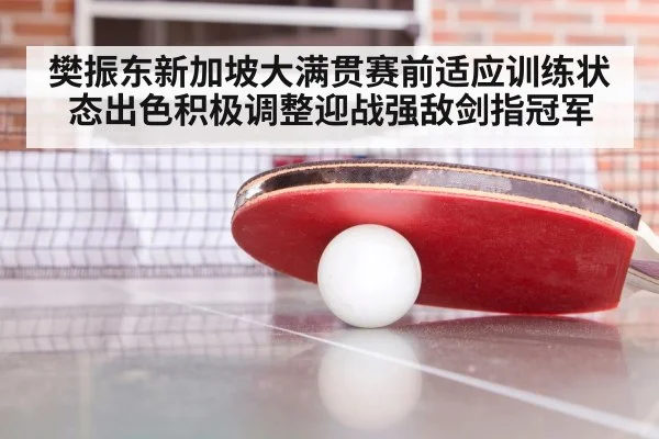 樊振东新加坡大满贯赛前适应训练状态出色积极调整迎战强敌剑指冠军